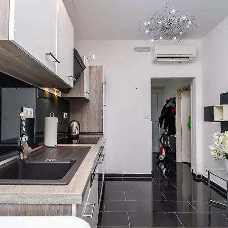 Cicko * טרוגיר