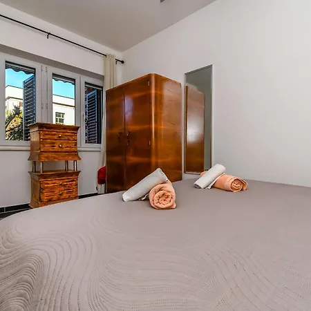 Cicko * 特罗吉尔