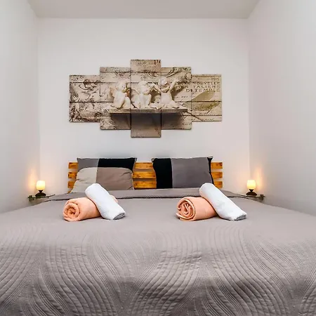 Cicko * 特罗吉尔